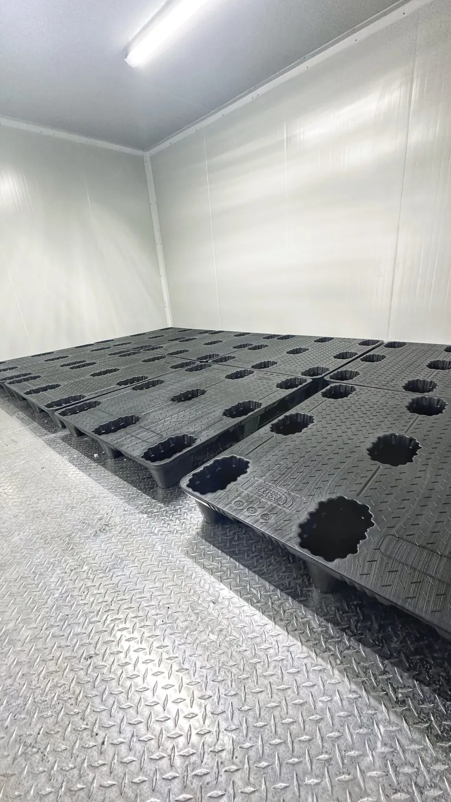 Pallets plásticos en un cuarto frío